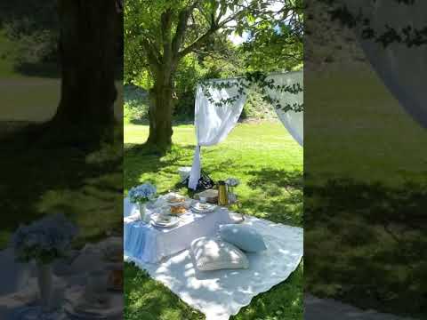 Afternoon Tea Party Idea | Luxury Picnic for Four