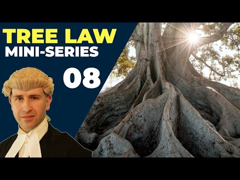 Can I Cut My Neighbors Tree Roots?  | Tree Law Miniseries | BlackBeltBarrister