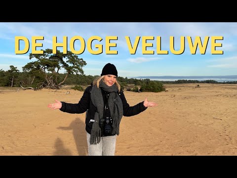 5 Reasons to Visit National Park De Hoge Veluwe!