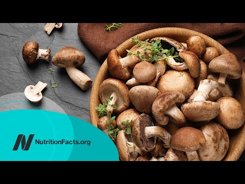 Is het veilig om rauwe paddenstoelen te eten?