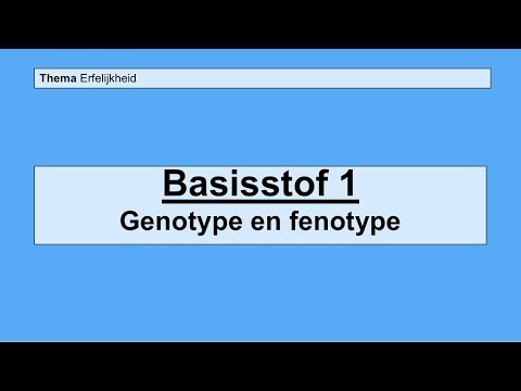 VMBO 3 | Erfelijkheid | Basisstof 1 Genotype en fenotype