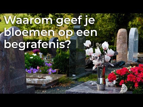 Waarom geef je bloemen op een begrafenis? | Waarom? Daarom! | Het Klokhuis