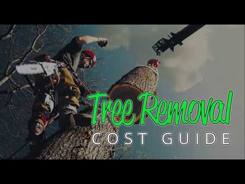 How much does it cost to remove a tree?