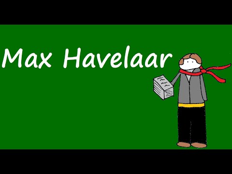Samenvatting Max Havelaar (De Alphaman)