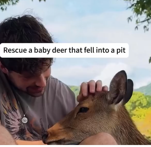 A Rescue baby deer fell into pit rescue animals petsoftik… Beautiful Dogs Love